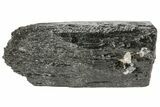 Black Tourmaline (Schorl) Crystal - Namibia #69170-1